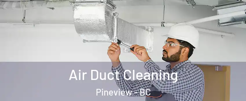  Air Duct Cleaning Pineview - BC
