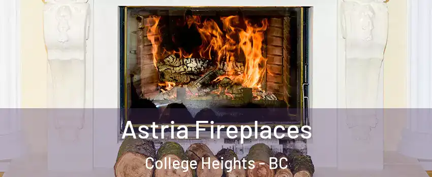  Astria Fireplaces College Heights - BC