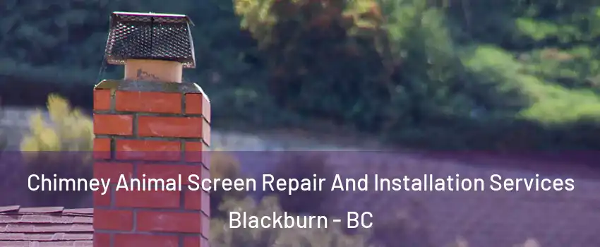  Chimney Animal Screen Repair And Installation Services Blackburn - BC
