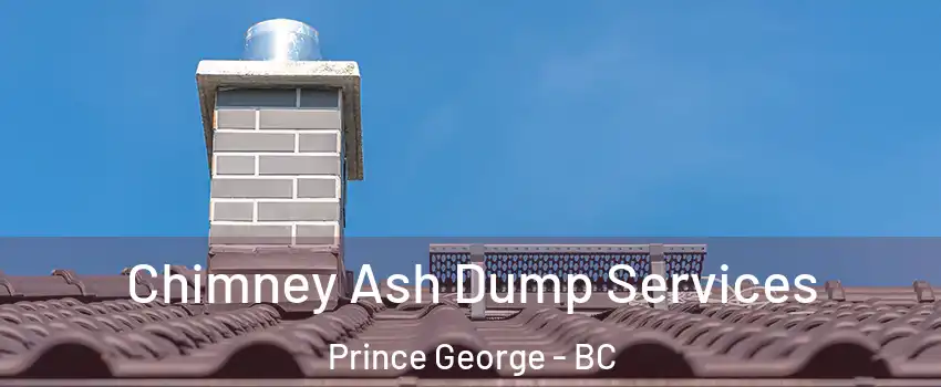  Chimney Ash Dump Services Prince George - BC