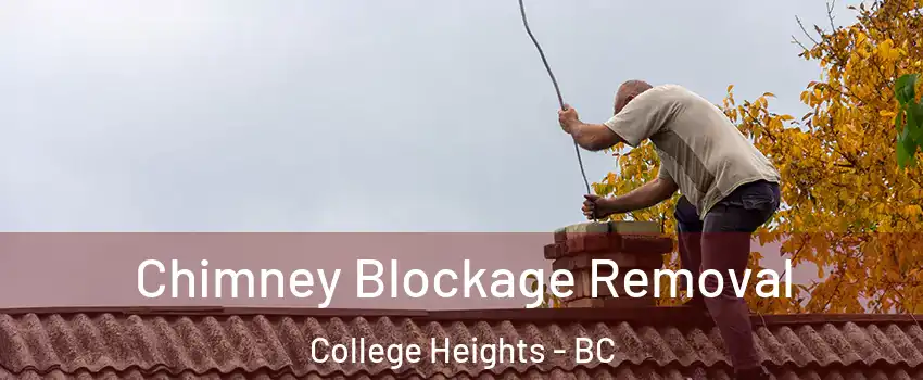  Chimney Blockage Removal College Heights - BC