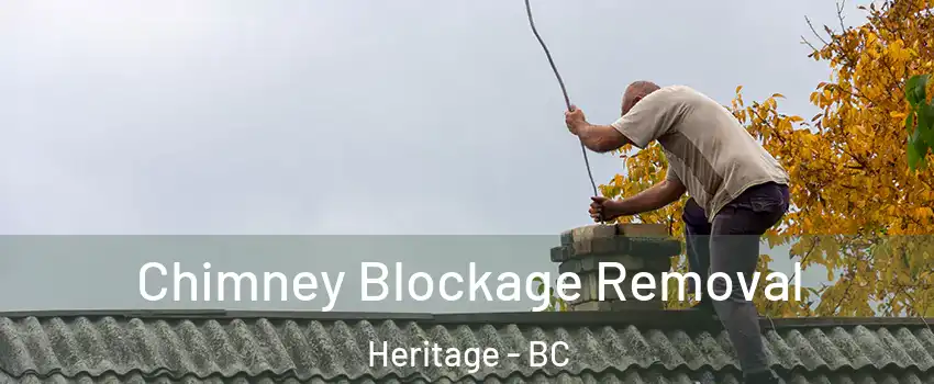  Chimney Blockage Removal Heritage - BC