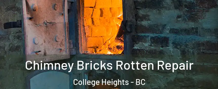  Chimney Bricks Rotten Repair College Heights - BC