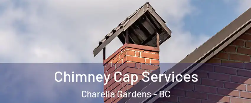  Chimney Cap Services Charella Gardens - BC