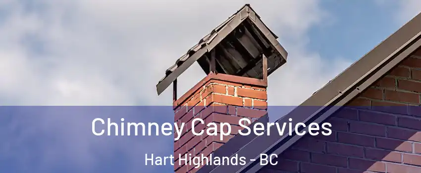  Chimney Cap Services Hart Highlands - BC