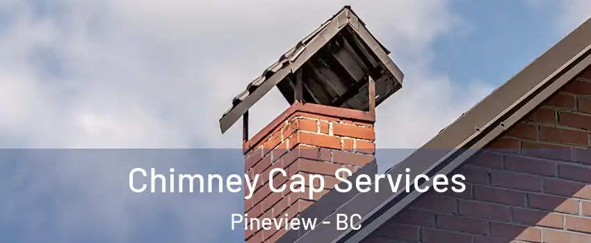  Chimney Cap Services Pineview - BC