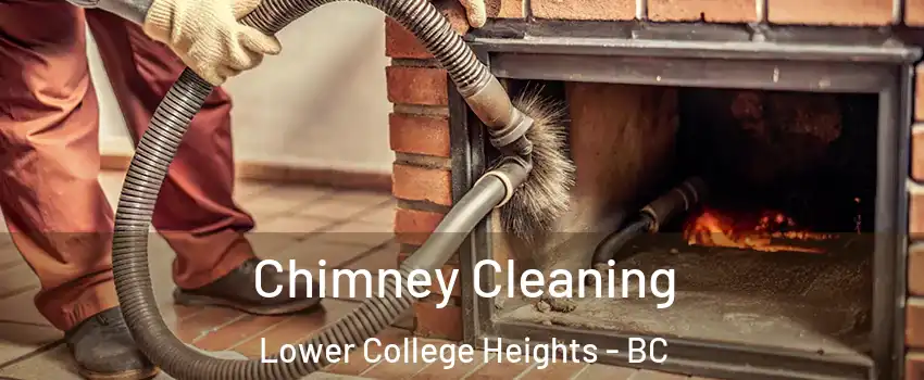  Chimney Cleaning Lower College Heights - BC