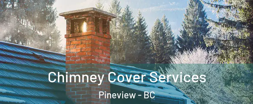  Chimney Cover Services Pineview - BC