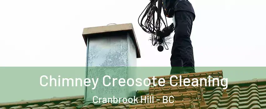  Chimney Creosote Cleaning Cranbrook Hill - BC