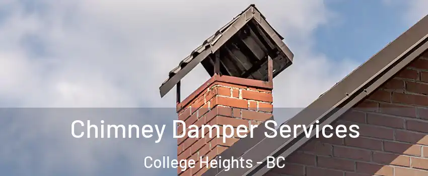  Chimney Damper Services College Heights - BC