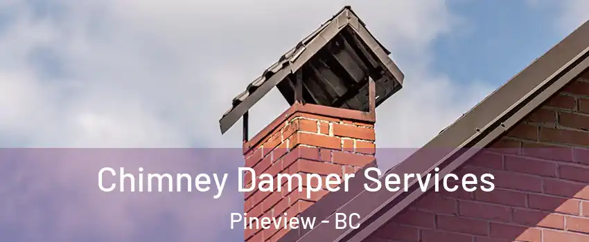  Chimney Damper Services Pineview - BC