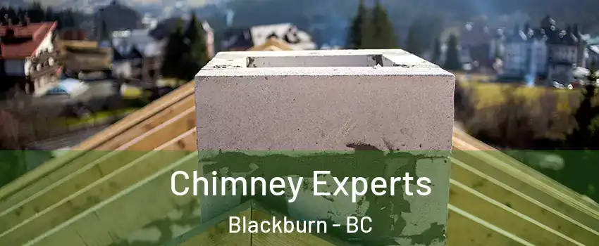 Chimney Experts Blackburn - BC