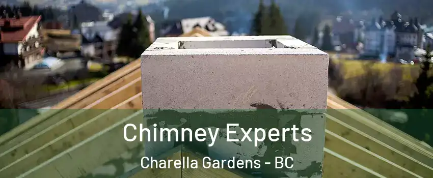 Chimney Experts Charella Gardens - BC