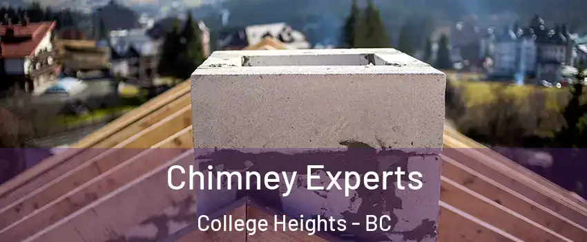 Chimney Experts College Heights - BC