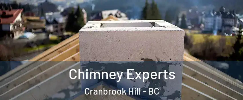 Chimney Experts Cranbrook Hill - BC