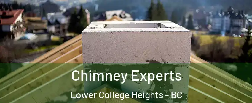 Chimney Experts Lower College Heights - BC