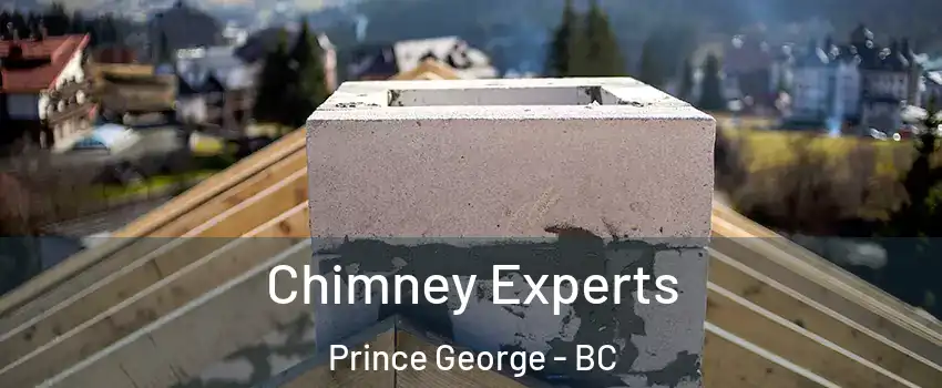 Chimney Experts Prince George - BC