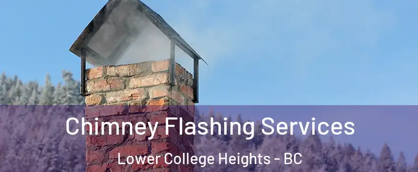 Chimney Flashing Services Lower College Heights - BC