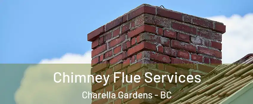  Chimney Flue Services Charella Gardens - BC