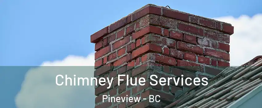  Chimney Flue Services Pineview - BC