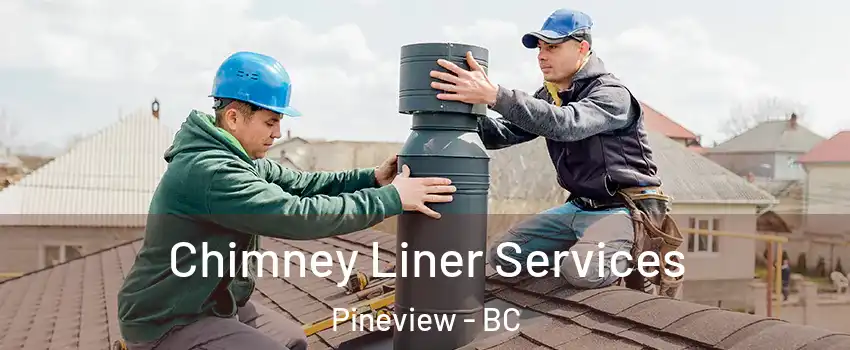  Chimney Liner Services Pineview - BC
