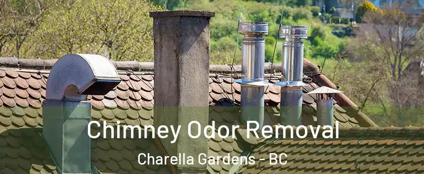  Chimney Odor Removal Charella Gardens - BC