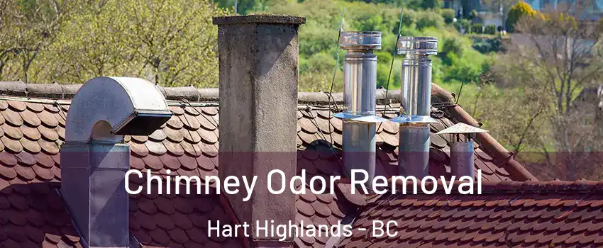  Chimney Odor Removal Hart Highlands - BC