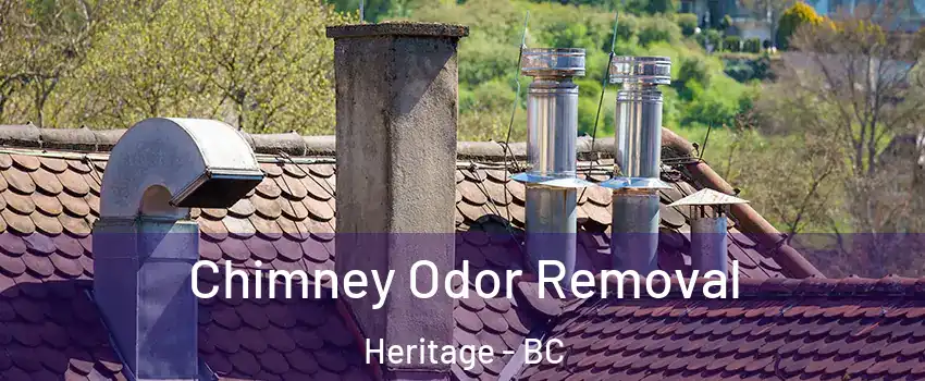  Chimney Odor Removal Heritage - BC