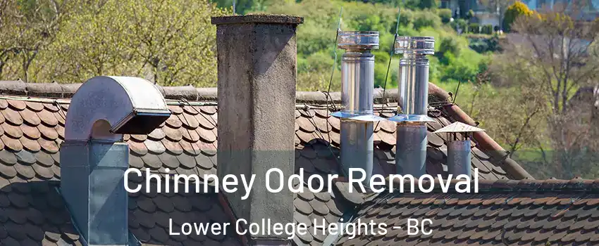  Chimney Odor Removal Lower College Heights - BC