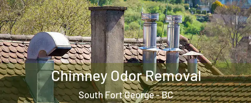  Chimney Odor Removal South Fort George - BC