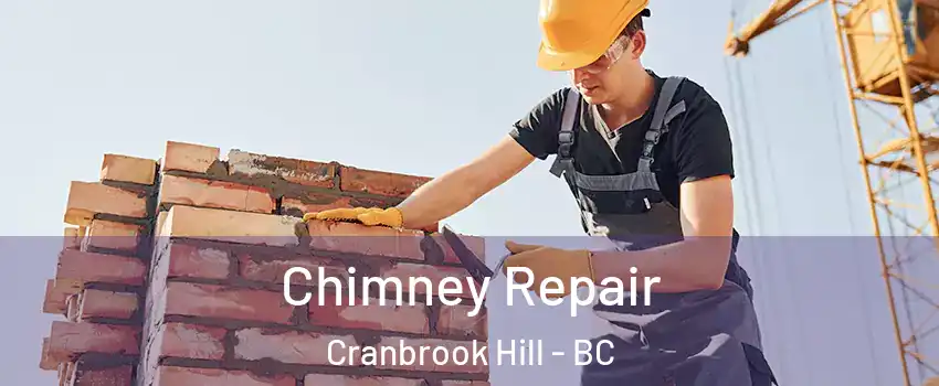  Chimney Repair Cranbrook Hill - BC