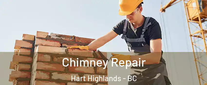  Chimney Repair Hart Highlands - BC
