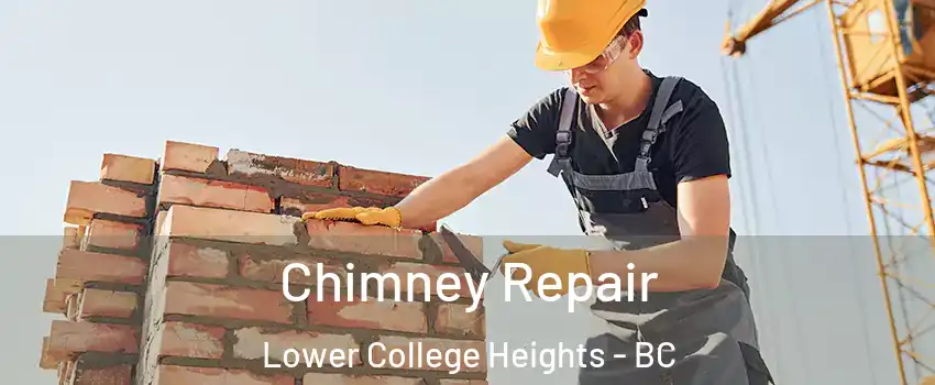  Chimney Repair Lower College Heights - BC