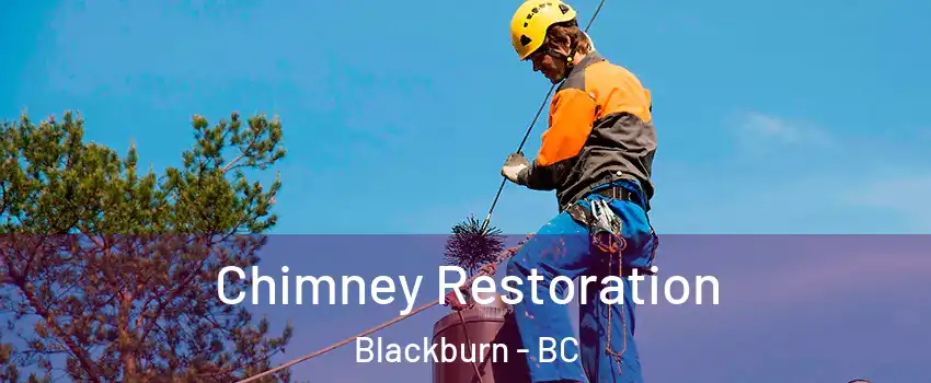  Chimney Restoration Blackburn - BC