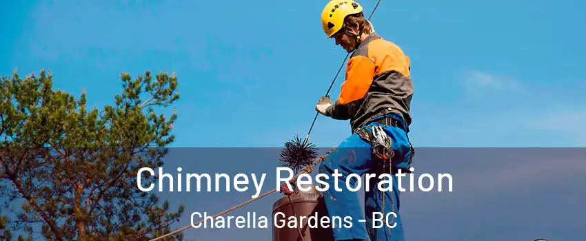  Chimney Restoration Charella Gardens - BC