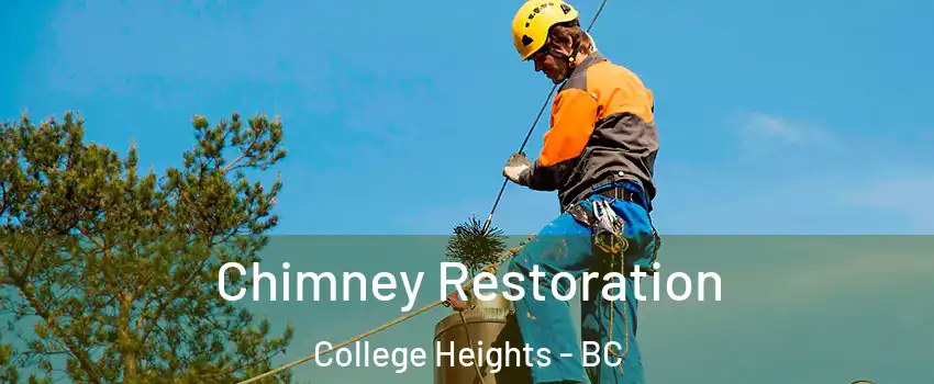  Chimney Restoration College Heights - BC