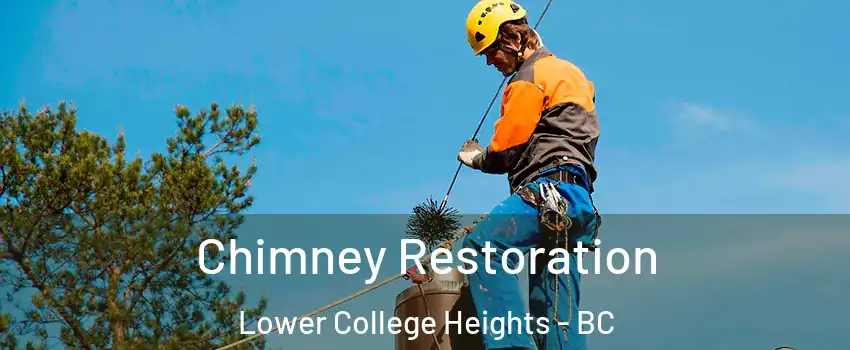  Chimney Restoration Lower College Heights - BC