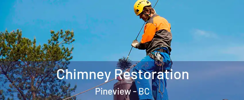  Chimney Restoration Pineview - BC