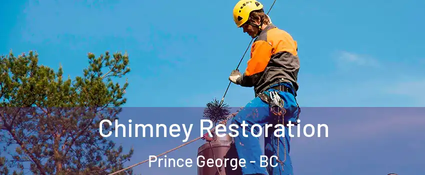  Chimney Restoration Prince George - BC