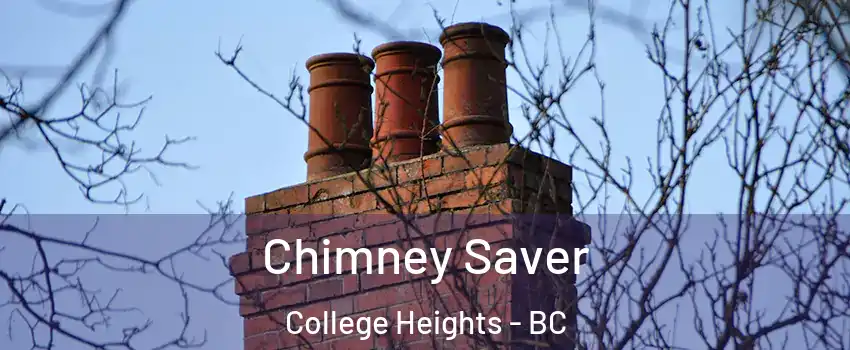 Chimney Saver College Heights - BC