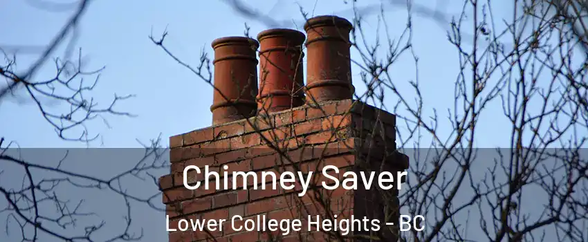  Chimney Saver Lower College Heights - BC