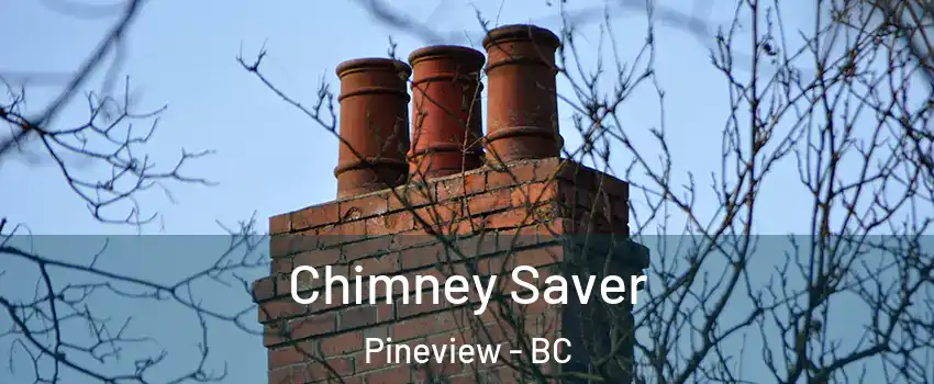  Chimney Saver Pineview - BC