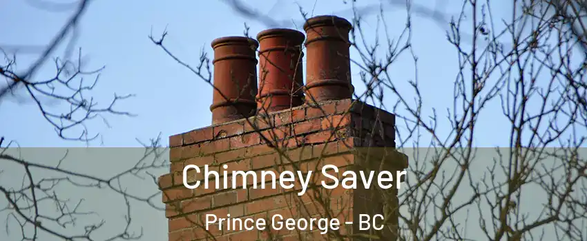  Chimney Saver Prince George - BC