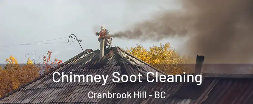  Chimney Soot Cleaning Cranbrook Hill - BC