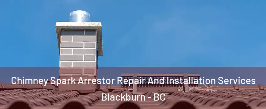  Chimney Spark Arrestor Repair And Installation Services Blackburn - BC