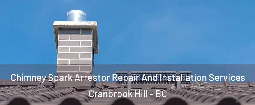  Chimney Spark Arrestor Repair And Installation Services Cranbrook Hill - BC