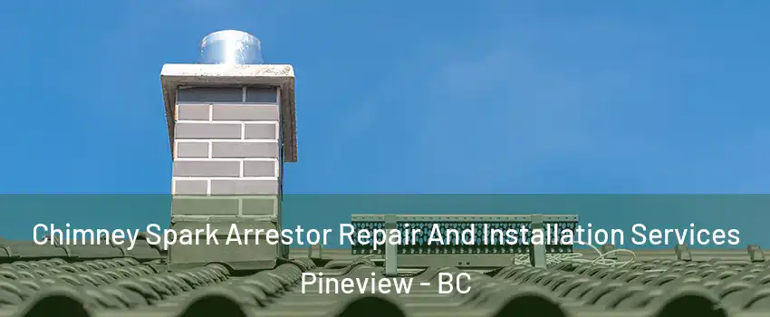  Chimney Spark Arrestor Repair And Installation Services Pineview - BC