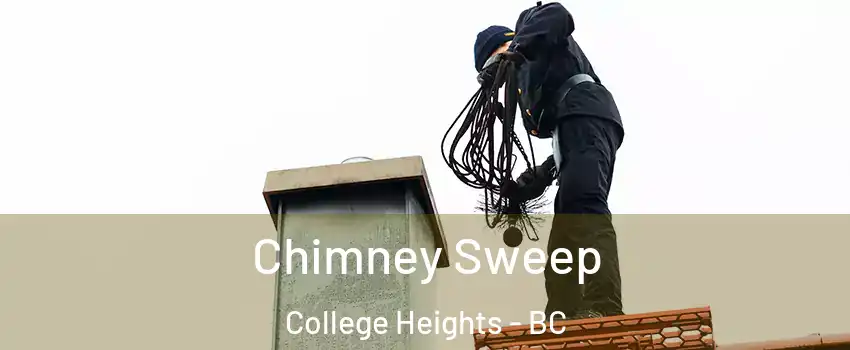  Chimney Sweep College Heights - BC