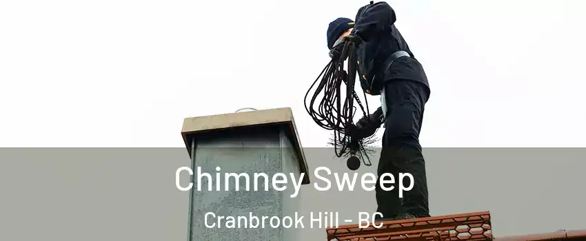  Chimney Sweep Cranbrook Hill - BC