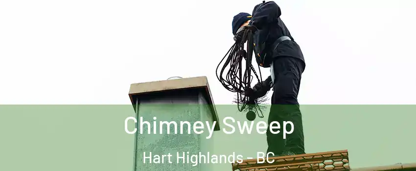  Chimney Sweep Hart Highlands - BC